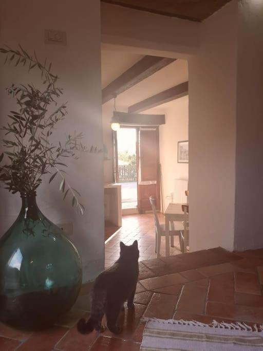 Fantastic In The Heart Of Toscana *